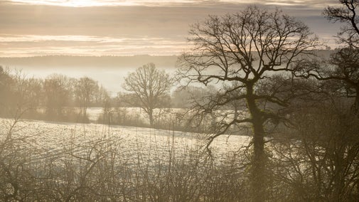 Winter landscape at Standen